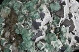 Rogerley Fluorite, Galena & Druzy Quartz, England #32395-2